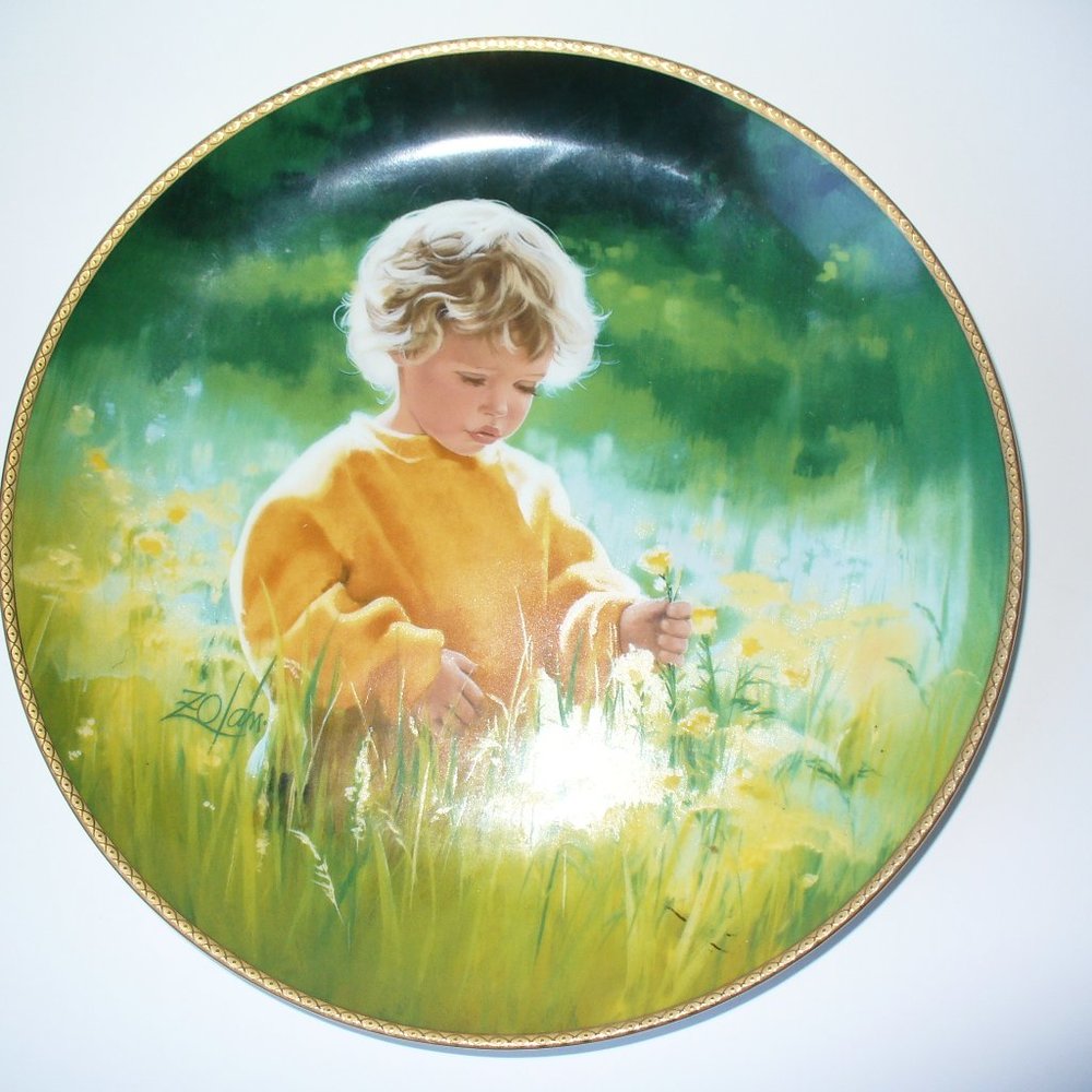 Collectible porcelain plate (#EV545)